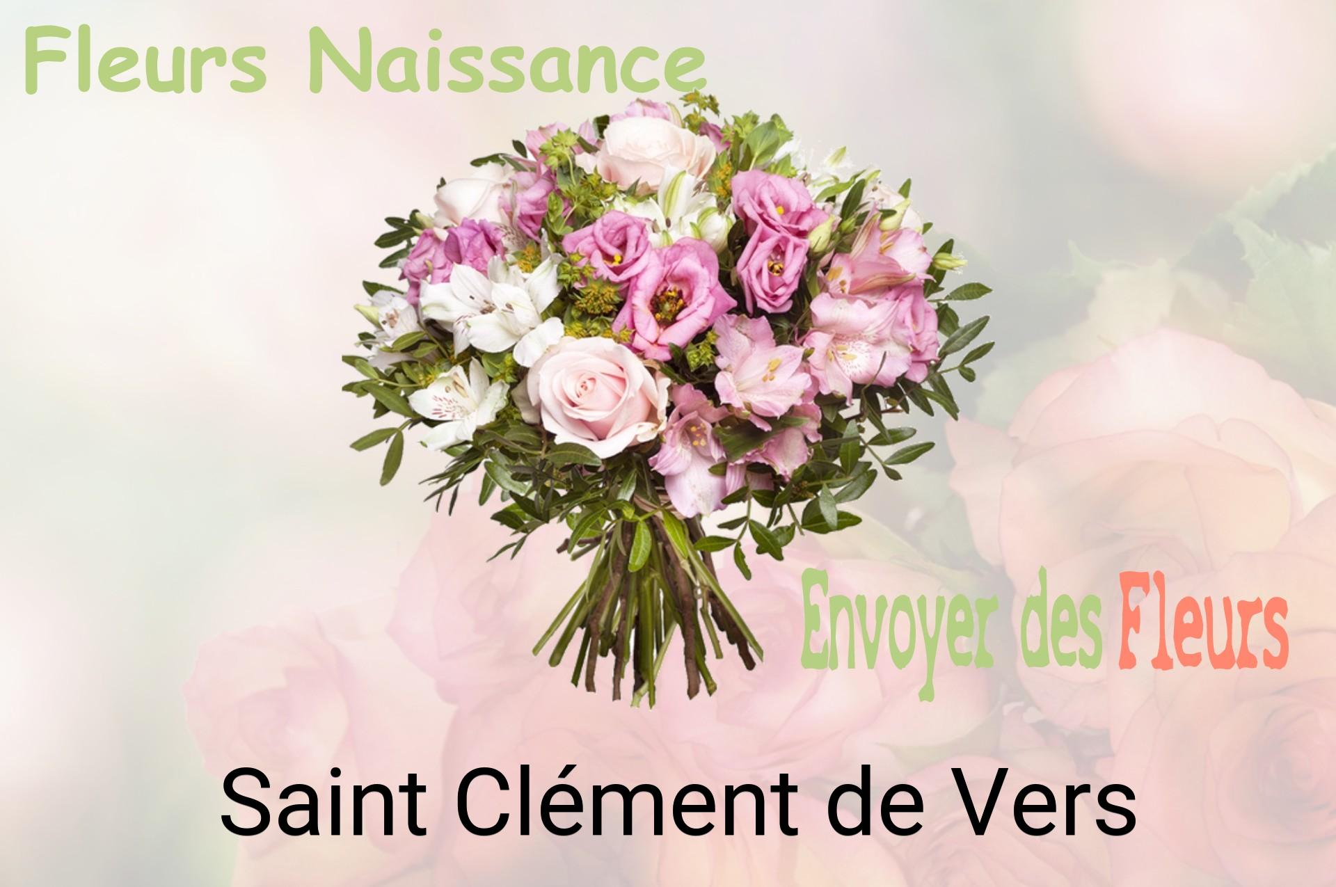Bouquet de fleurs de naissance livré à Saint-Clément-de-Vers